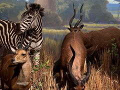 -陕西自然博物馆