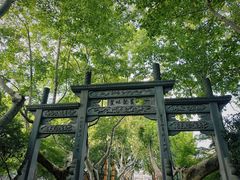 -杭州黄龙洞