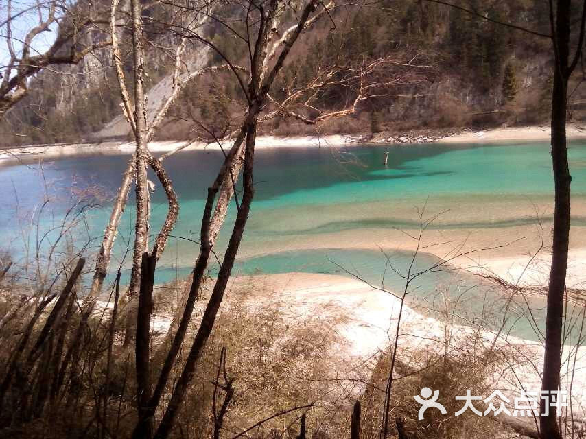 熊貓海-圖片-九寨溝縣生活服務-大眾點評網