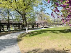 -阳澄湖半岛旅游度假区