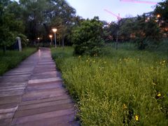 -高子水居