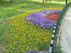 景点-陶然亭公园