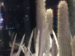 -必胜客(新福地店)