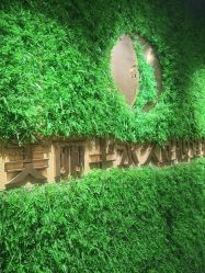 -变美丽半永久纹眉连锁·机器野生眉•洗眉