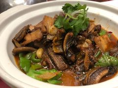 鳝鱼-董厨煨汤馆(车站路店)