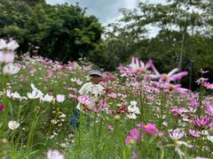 -广西壮族自治区药用植物园