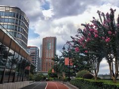 -北外滩滨江绿地