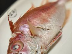 大眼鸡-吴记富苑(朝阳店)