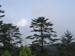 -峨嵋山金顶