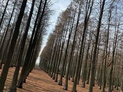 -渌洋湖湿地公园