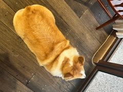 -肥朵食堂(带梦胡同店)