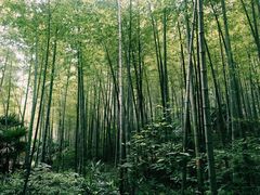 -南山风景名胜区