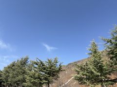 -西姆山居酒店(九寨沟沟口店)