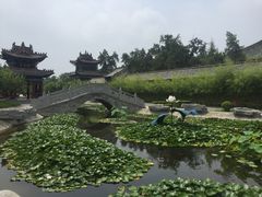 -关林