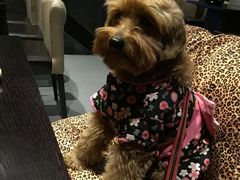 -HIHE Bistro·Oyster Bar(华熙live店)