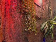 -醉小酒馆·川菜·江湖菜·重庆菜(观音桥旗舰店)