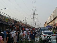 -中环花鸟鱼虫市场