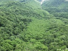 -天女山森林公园