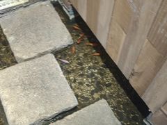 -邈墨茶馆(凤起路店)