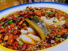 五品毛血旺-毛草房(南辛庄街店)