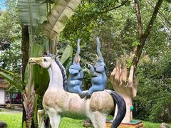 -瑞丽独树成林风景区