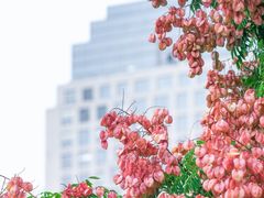 -西湖文化广场