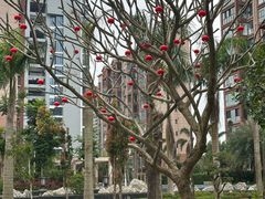 -西秀海滩公园