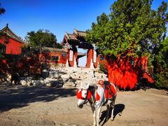 -青州市云门山风景区