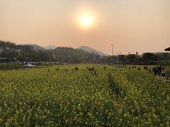 -红山村