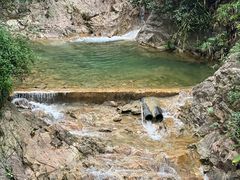 -南海湾森林生态园