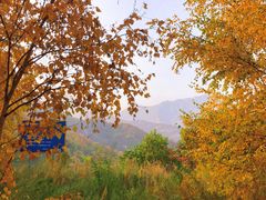-云蒙山风景区