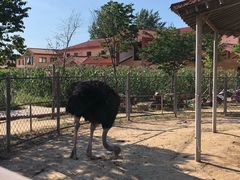 -意大利农场度假村