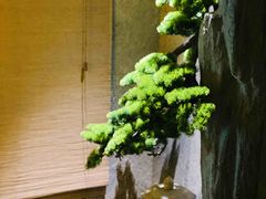-若水云栖·足疗·按摩·SPA(城阳万达广场店)