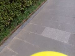 -巢爷老味(东方红店)