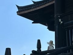 -大唐贡茶院