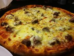 -百好乐宠物友好餐厅(朝外大街店)