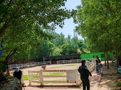 -西部长青自然儿童乐园