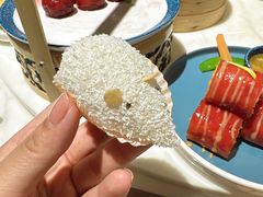 -点都德·毕德寮