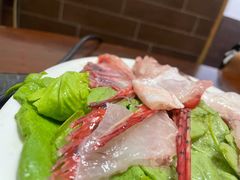 野生石斑鱼-金砂阿洲鱼册店