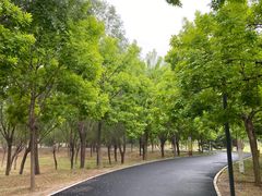 -东郊湿地公园