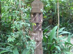 -武吉知马自然保护区