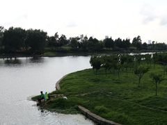 -羊亭河湿地公园