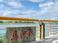 -漕湖湿地公园