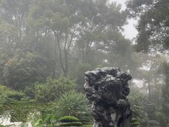 -南山植物园