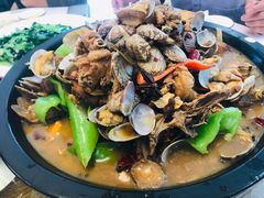 蛤蜊焖鸡-蓬莱利华酒店(密汾南街店)