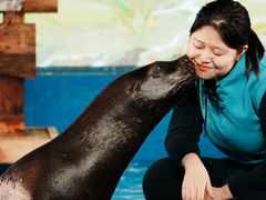 -欢乐海岸海洋奇梦馆