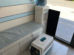 -中农国际动物医院24小时·猫科·骨科·急重症中心