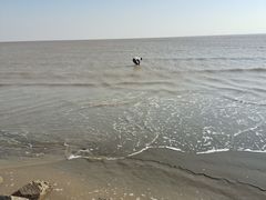 -南汇新城海滩