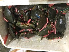 -海峡水产品交易中心(海鲜交易区)