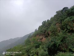 -北京西山国家森林公园